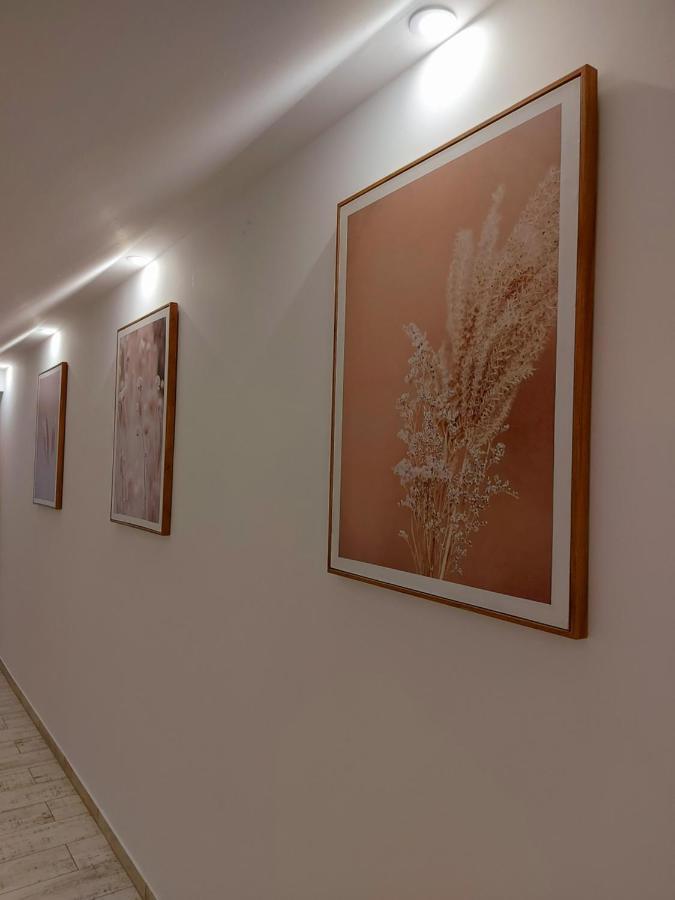 Akacos Tanya Es Vendeghaz Hotell Marok Exteriör bild